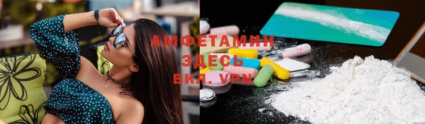 метадон Богданович