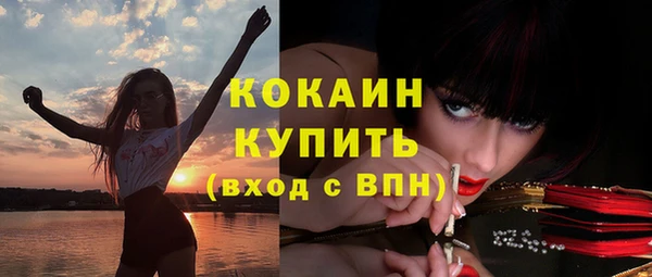 метадон Богданович