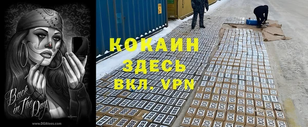 apvp Бородино