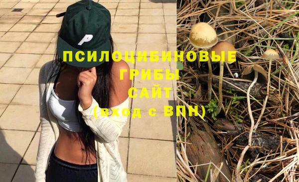 apvp Бородино