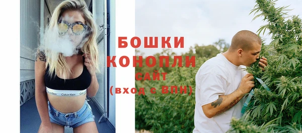 гашик Богородск