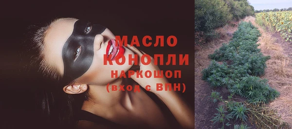 apvp Бородино
