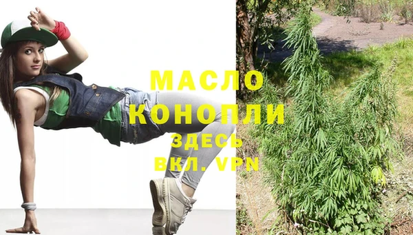 метадон Богданович